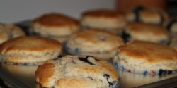 Blueberry Muffins