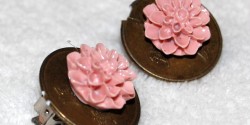 Shoe Clips