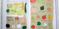 squashpages