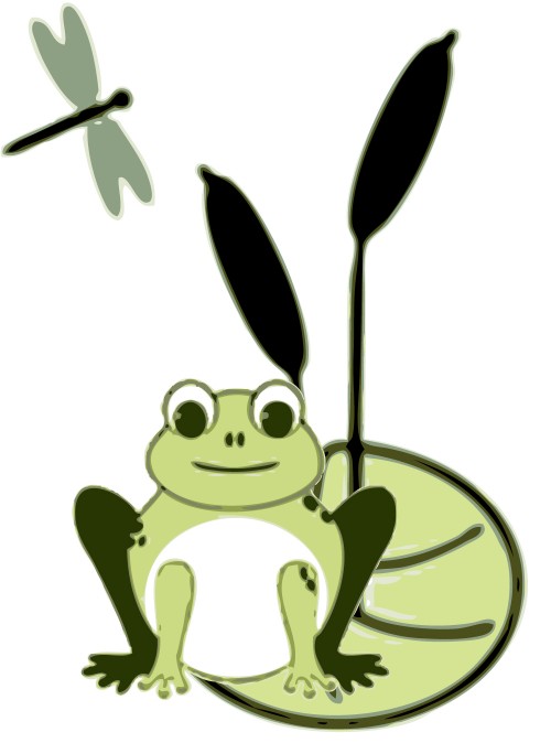 frog-quilt