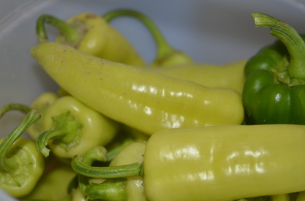 picked peppers