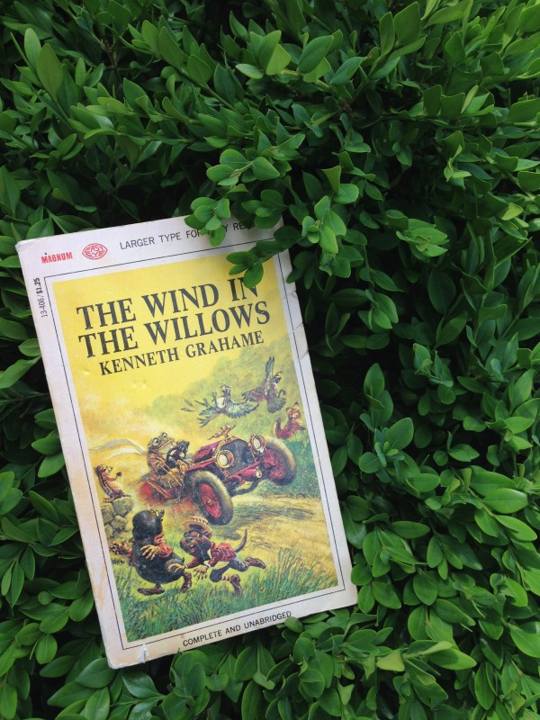 wind in the willows