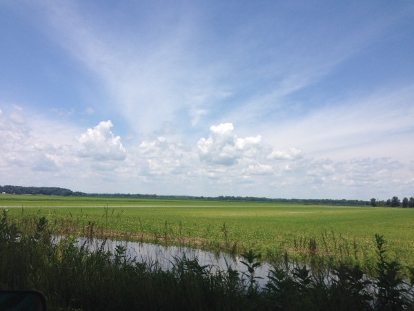 flooded ditch with field