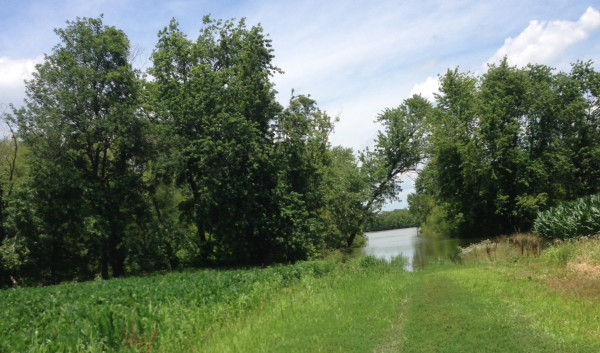 river thru the trees