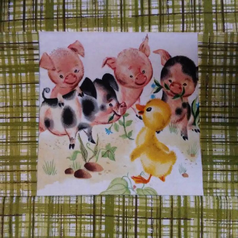 duck panel block with pigs